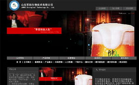 名域網(wǎng)絡(luò) 助力臨沂企業(yè)數(shù)字化轉(zhuǎn)型的專業(yè)建站與維護(hù)服務(wù)